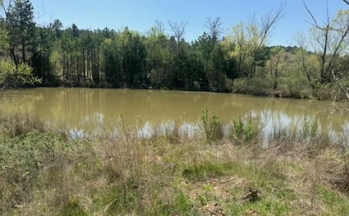 Pictures of Land property located at 2 NW 196th Road, Wilburton, OK 74578 for sales - image #1