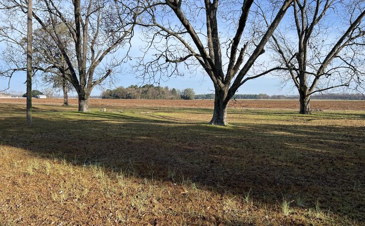 Pictures of Land property located at Old Hwy 6, Elloree, SC 29047 for sales - image #1