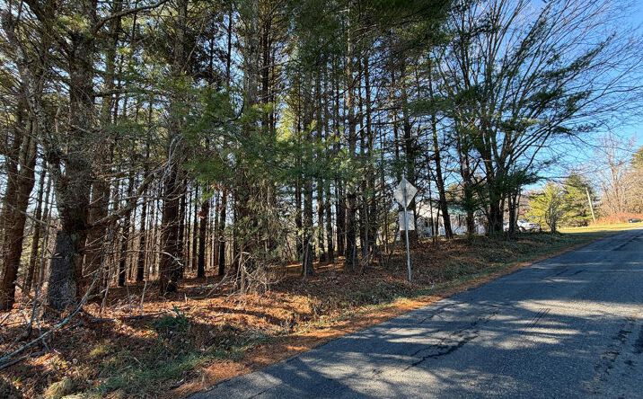 Pictures of Land, Multifamily property located at 4306 Keno Rd, Laurel Fork, VA 24352 for sales - image #1