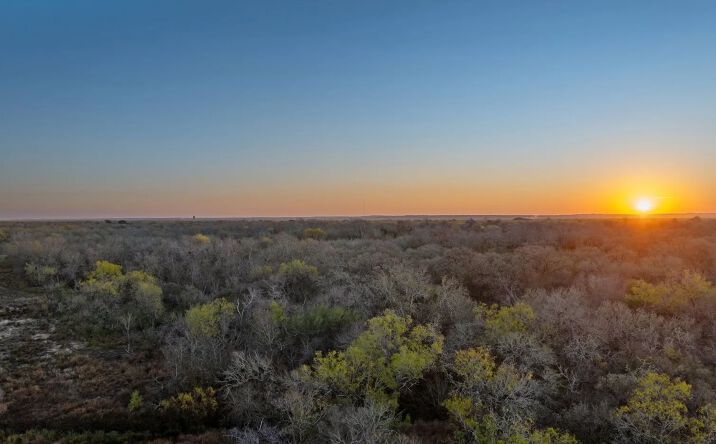 Pictures of Land property located at 48 Acres, Campbellton, TX 78008 for sales - image #1
