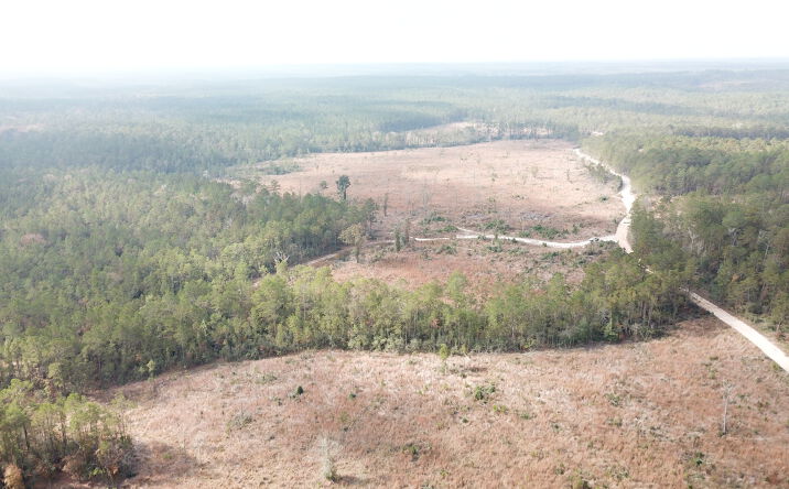 Pictures of Land property located at County Rd 2845, Chester, TX 75936 for sales - image #1