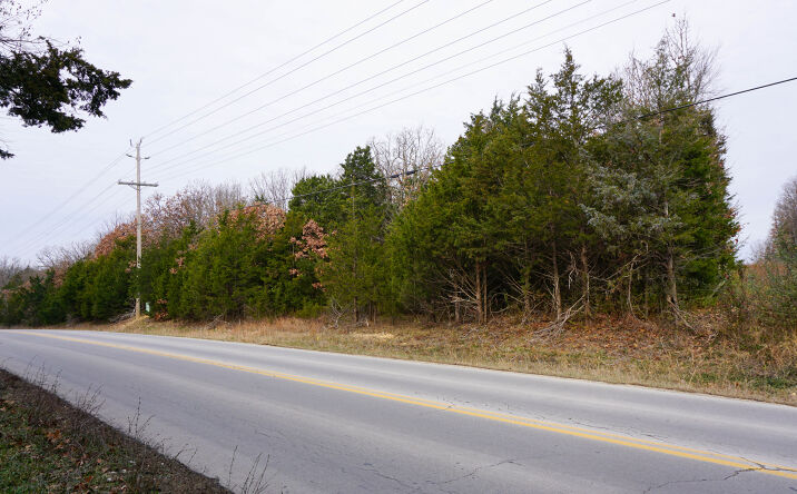 Pictures of Land property located at Old St James Rd, Rolla, MO 65401 for sales - image #1