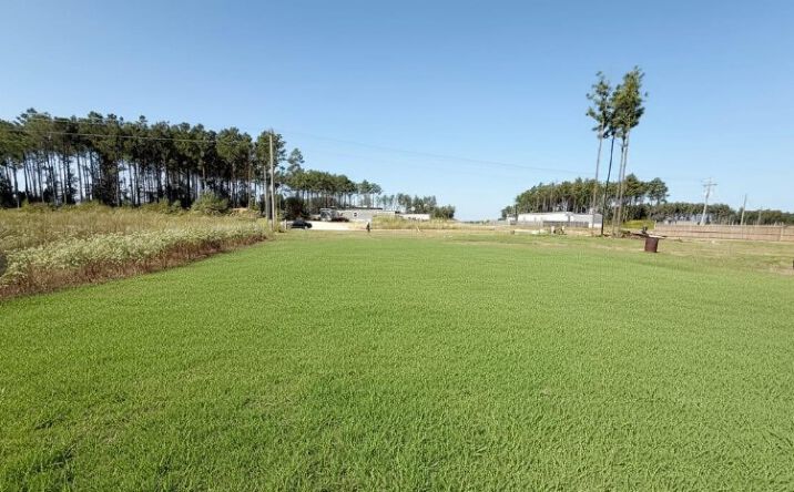 Pictures of Land property located at 1785 Rd 5740, Cleveland, TX 77327 for sales - image #1