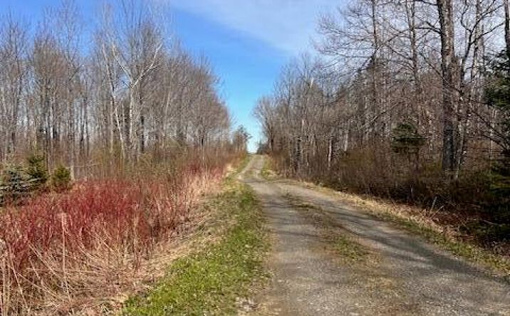 Pictures of Land property located at Drews Mills Rd, Linneus, ME 04730 for sales - image #1