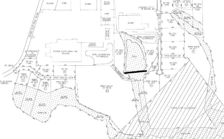 Pictures of Land property located at US-280, Vidalia, GA 30474 for sales - image #1