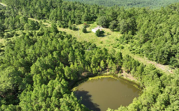 Pictures of Land property located at 2 Hulsey Prairie, Panola, OK 74559 for sales - image #1