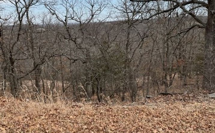 Pictures of Land property located at Oakridge Drive, Sand Springs, OK 74063 for sales - image #1