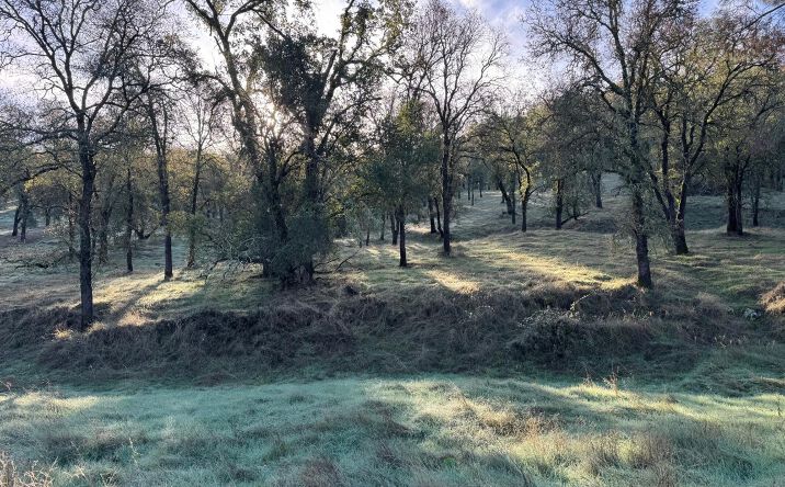 Pictures of Land property located at 0 Vaira Ranch, Sutter Creek, CA 95699 for sales - image #1