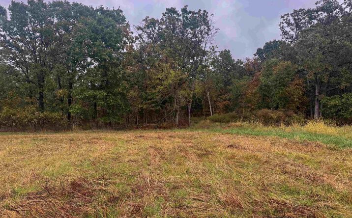 Pictures of Land property located at 159.63 acres Hwy N, Stover, MO 65078 for sales - image #1