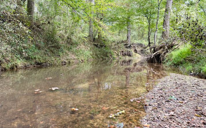 Pictures of Land property located at MS-25, Louisville, MS 39339 for sales - image #1