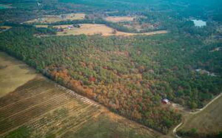 Pictures of Land property located at 0 Windy Ridge Road, Trenton, SC 29847 for sales - image #1