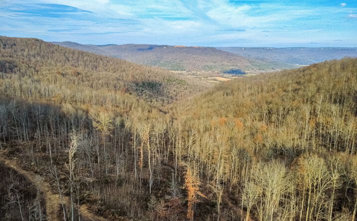 Pictures of Land, Special Purpose property located at 126 Bolton Point Road, South Pittsburg, TN 37380 for sales - image #1