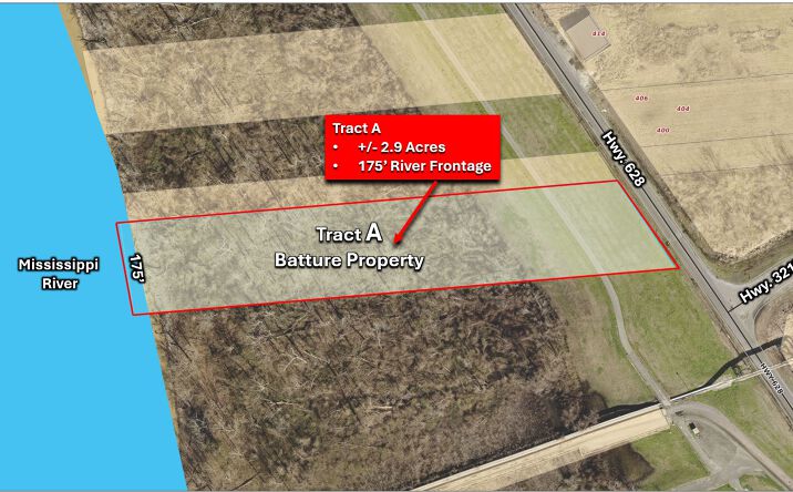 Pictures of Land property located at Tract A, Bayou Steel Rd @ Hwy 628, LaPlace, LA 70068 for sales - image #1