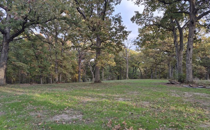 Pictures of Land property located at State Hwy D, Eolia, MO 63344 for sales - image #1