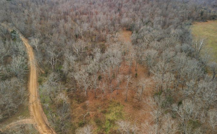 Pictures of Land property located at Tbd County Road 219, Thayer, MO 65791 for sales - image #1