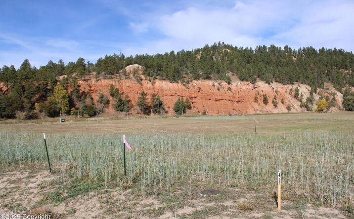 Pictures of Land property located at Red Devil Dr Lot 20, Hulett, WY 82720 for sales - image #1