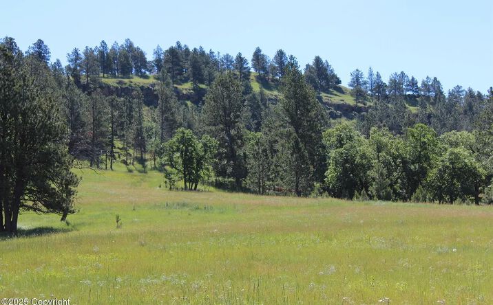 Pictures of Land property located at Tract 43 Bulldog Ln, New Haven, WY 82720 for sales - image #1