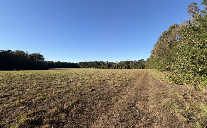 Pictures of Land property located at TBD E Redcut Rd, Fouke, AR 71837 for sales - image #1