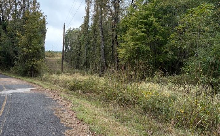 Pictures of Land property located at TBD Miller County 35, Doddridge, AR 71834 for sales - image #1