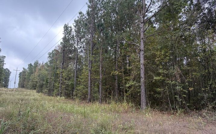 Pictures of Land property located at Tbd Mc 35 & Mc 157, Bradley, AR 71834 for sales - image #1