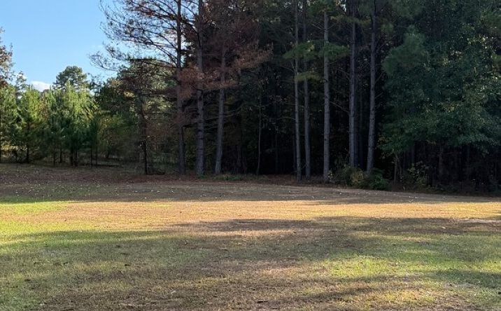 Pictures of Land property located at 301 1st St, Atlanta, TX 75551 for sales - image #1