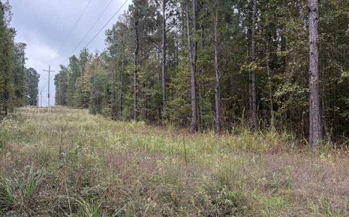 Pictures of Land property located at TBD MC 35, Bradley, AR 71834 for sales - image #1