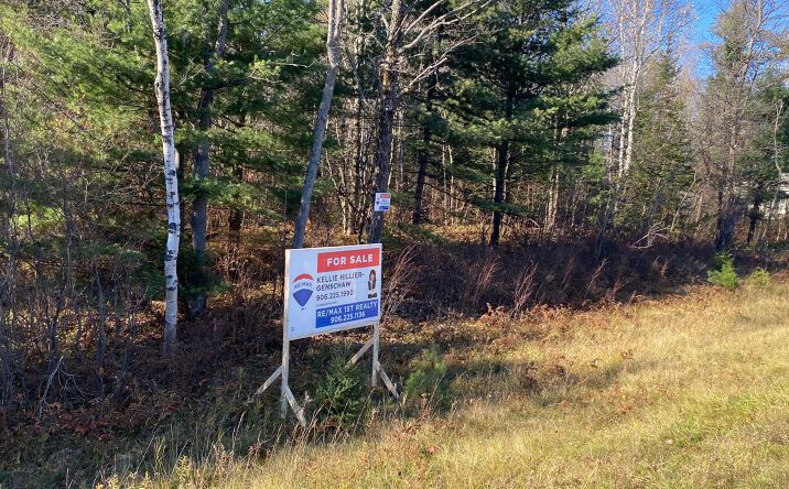Pictures of Land property located at TBD Co Rd 553, Gwinn, MI 49841 for sales - image #1