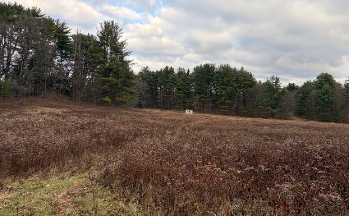 Pictures of Land, Mixed Use, Self Storage property located at 1045 Covered Bridge Rd, Unadilla, NY 13849 for sales - image #1