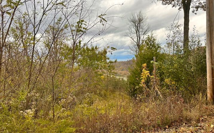 Pictures of Land property located at 00 Schelley Rd, Gainesboro, TN 38562 for sales - image #1