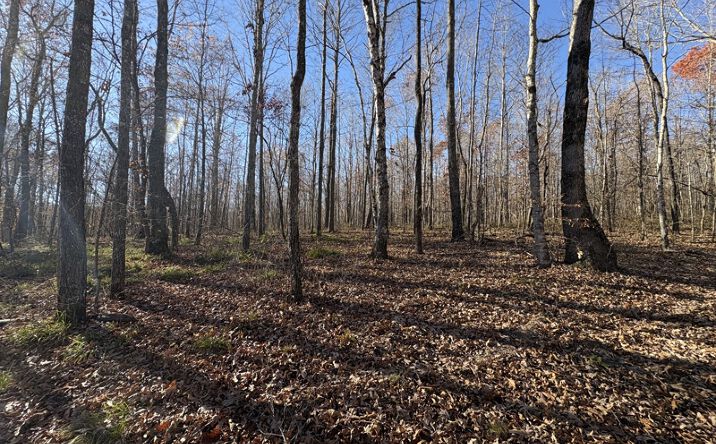 Pictures of Land property located at 0 Pigpen Hollow Rd, Waynesboro, TN 38485 for sales - image #1