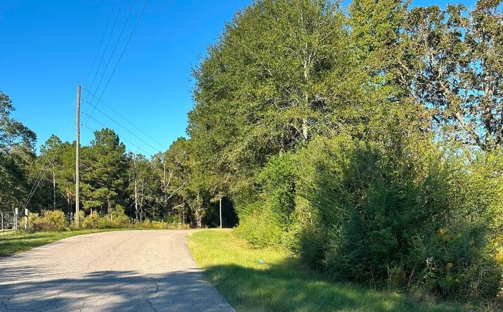 Pictures of Land property located at 0 Hickory Grove Road, Sumrall, MS 39482 for sales - image #1