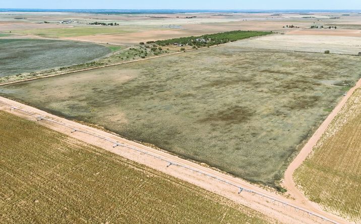 Pictures of Land property located at 000 County Road 151, Rochester, TX 79544 for sales - image #1