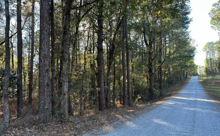 Pictures of Land property located at 0 Lomas Road, Hattiesburg, MS 39401 for sales - image #1