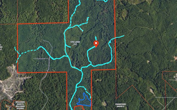 Pictures of Land property located at 0 Judydahl Rd, Woodville, MS 39669 for sales - image #1