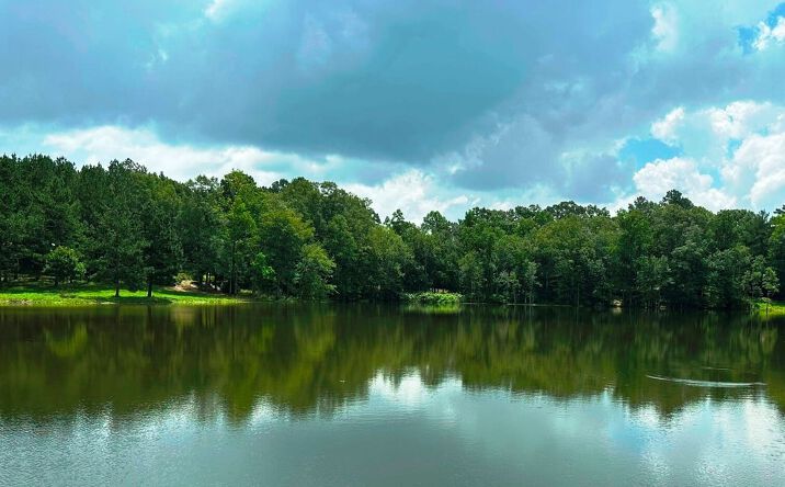 Pictures of Land property located at 215 Grafton Road, Laurel, MS 39443 for sales - image #1