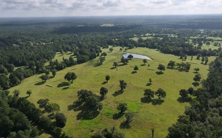 Pictures of Land property located at Tbd Walker Lane, Huntsville, TX 77320 for sales - image #1