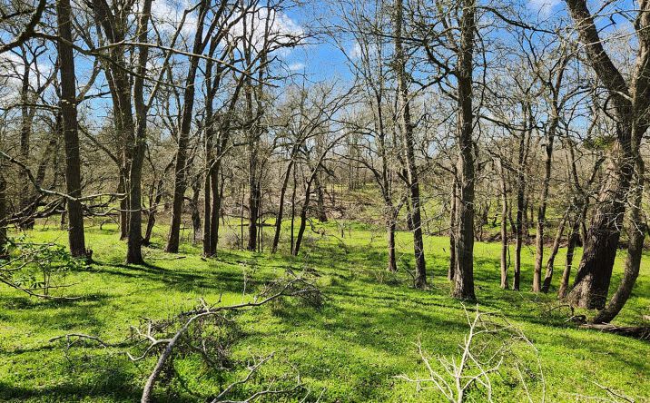 Pictures of Land property located at 40499 Garrett Rd, Pattison, TX 77423 for sales - image #1