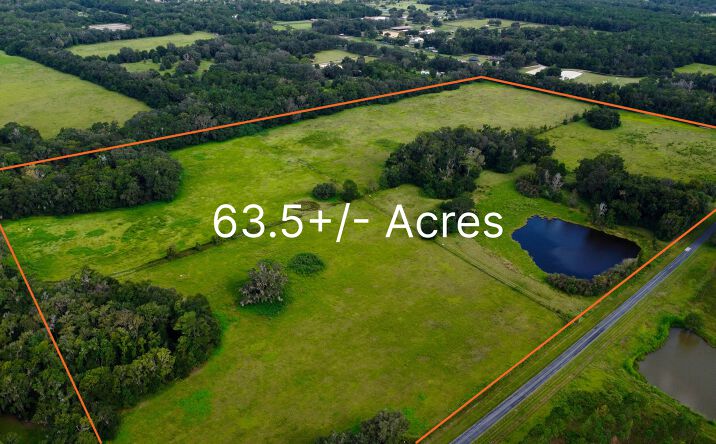 Pictures of Land property located at NW 110th Ave, Reddick, FL 32686 for sales - image #1