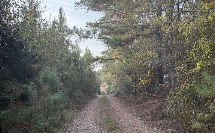 Pictures of Land property located at Kinchafoonee Creek Tract, Preston, GA 31824 for sales - image #1