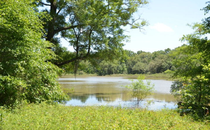 image of property at S COUNTY LINE ROAD Albany GA 31705