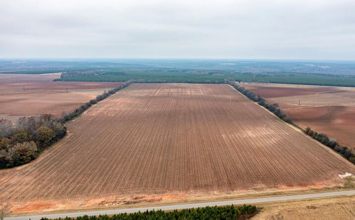 Pictures of Land property located at 3** Youngs Mill Rd, Americus, GA 31779 for sales - image #1