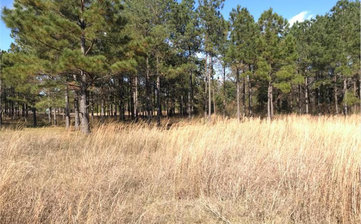 Pictures of Land property located at N/A U S Hwy 19 S, Leesburg, GA 31763 for sales - image #1