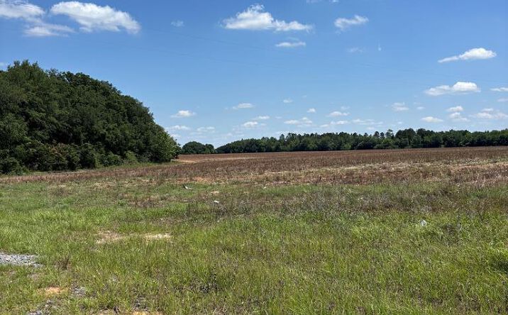 Pictures of Land property located at 1830 Liberty Expy Se, Albany, GA 31705 for sales - image #1