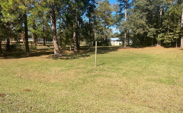 Pictures of Land property located at 0 Hwy 82, Dawson, GA 39842 for sales - image #1