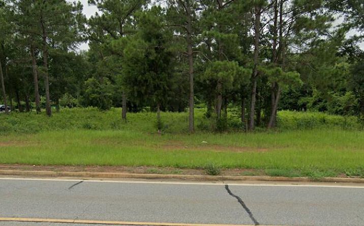 Pictures of Land property located at 0 Ledo Road, Leesburg, GA 31763 for sales - image #1