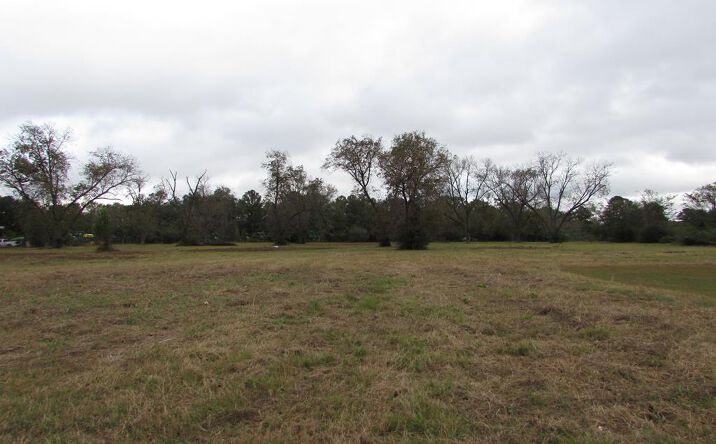 Pictures of Land property located at 0000 Chancey Mill Road, Blakely, GA 39823 for sales - image #1