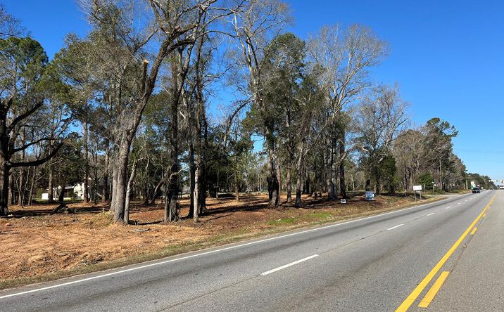 Pictures of Land property located at 0 W Hwy 82, Leesburg, GA 31763 for sales - image #1