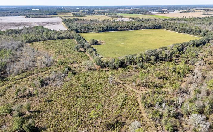 Pictures of Land property located at 1203 Bellview Road, Colquitt, GA 39837 for sales - image #1