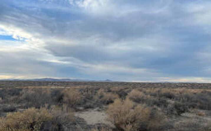 Pictures of Land property located at Churchill County APN 00931102, Fallon, NV 89406 for sales - image #1