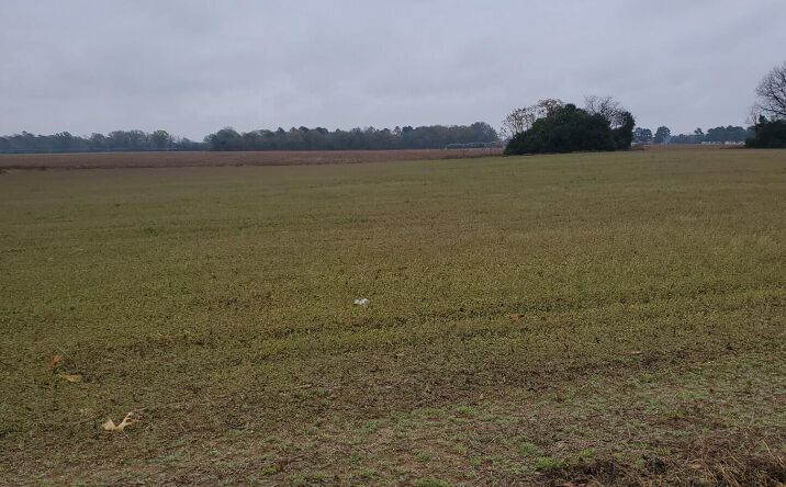 Pictures of Land property located at 5555 Goshen Road, Sumter, SC 29153 for sales - image #1